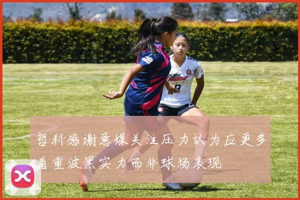哲科感谢意媒关注压力认为应更多看重波黑实力而非球场表现