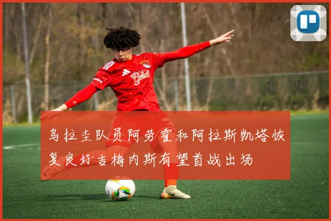 乌拉圭队员阿劳霍和阿拉斯凯塔恢复良好吉梅内斯有望首战出场